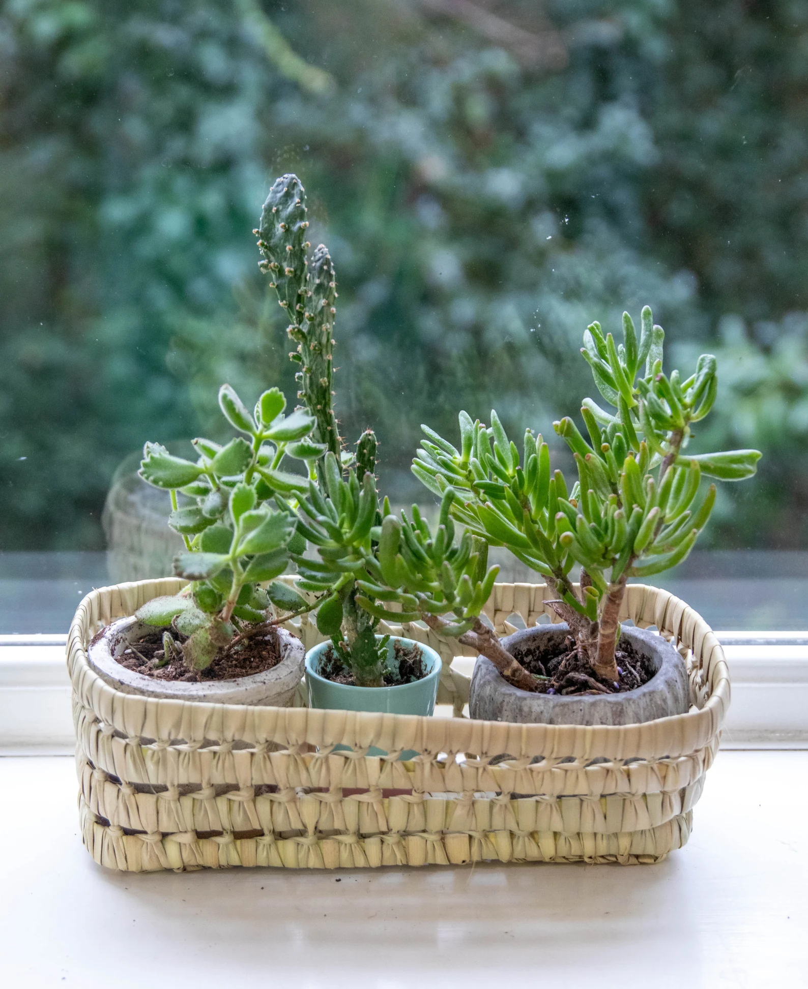 Tétouan Raffia Basket - Hand-Coiled Mountain Palm — view 3